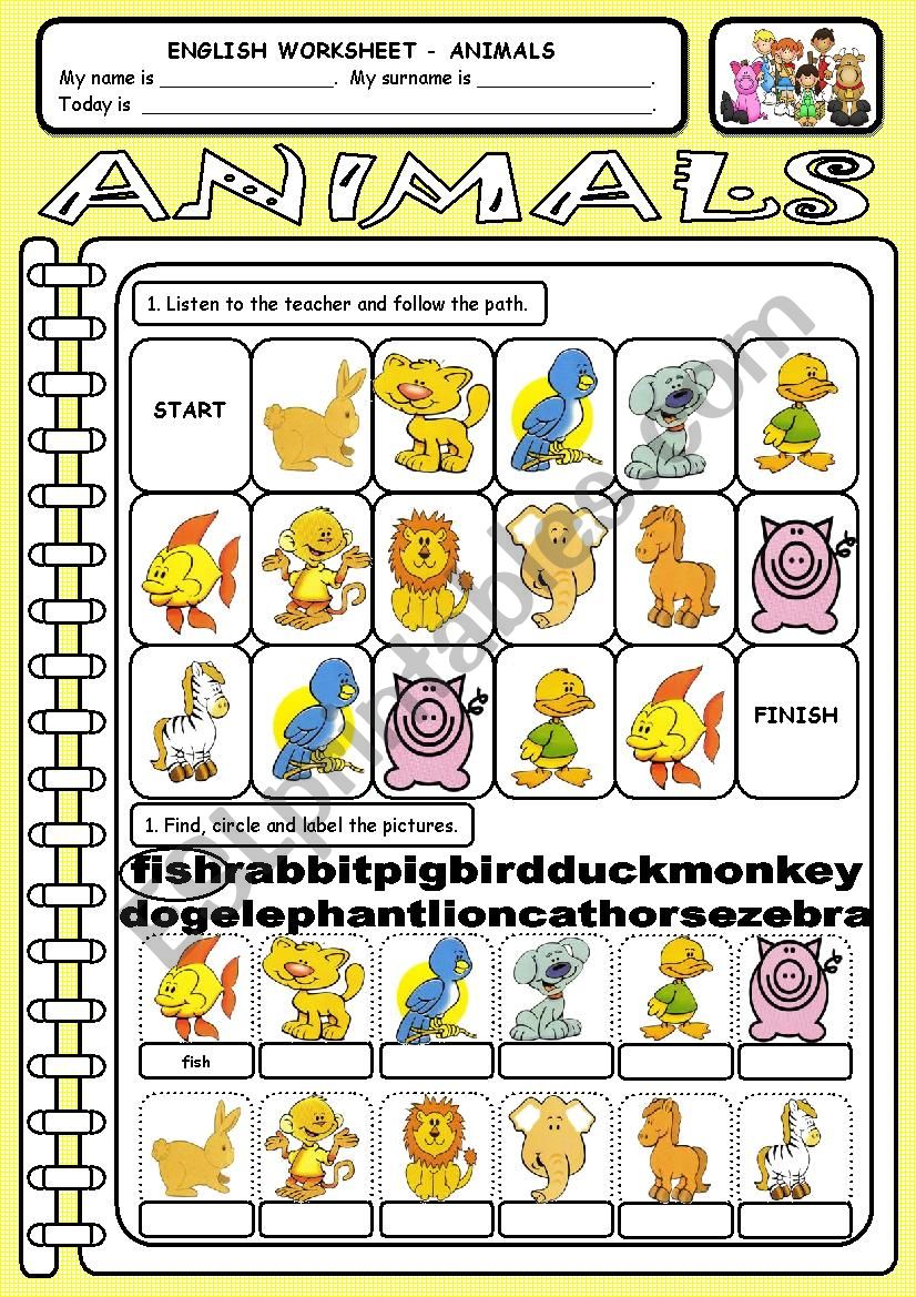 Worksheet (2) - Animals worksheet