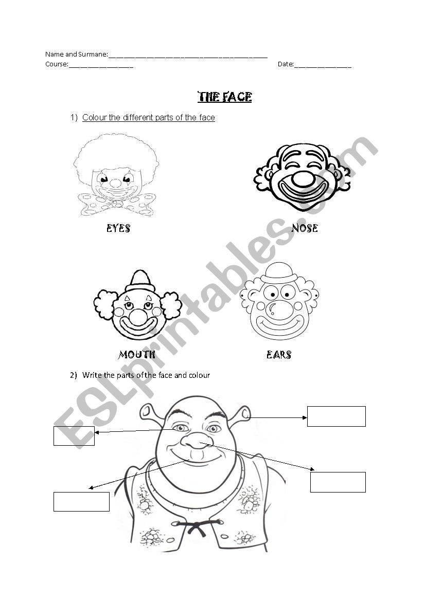 The Face worksheet