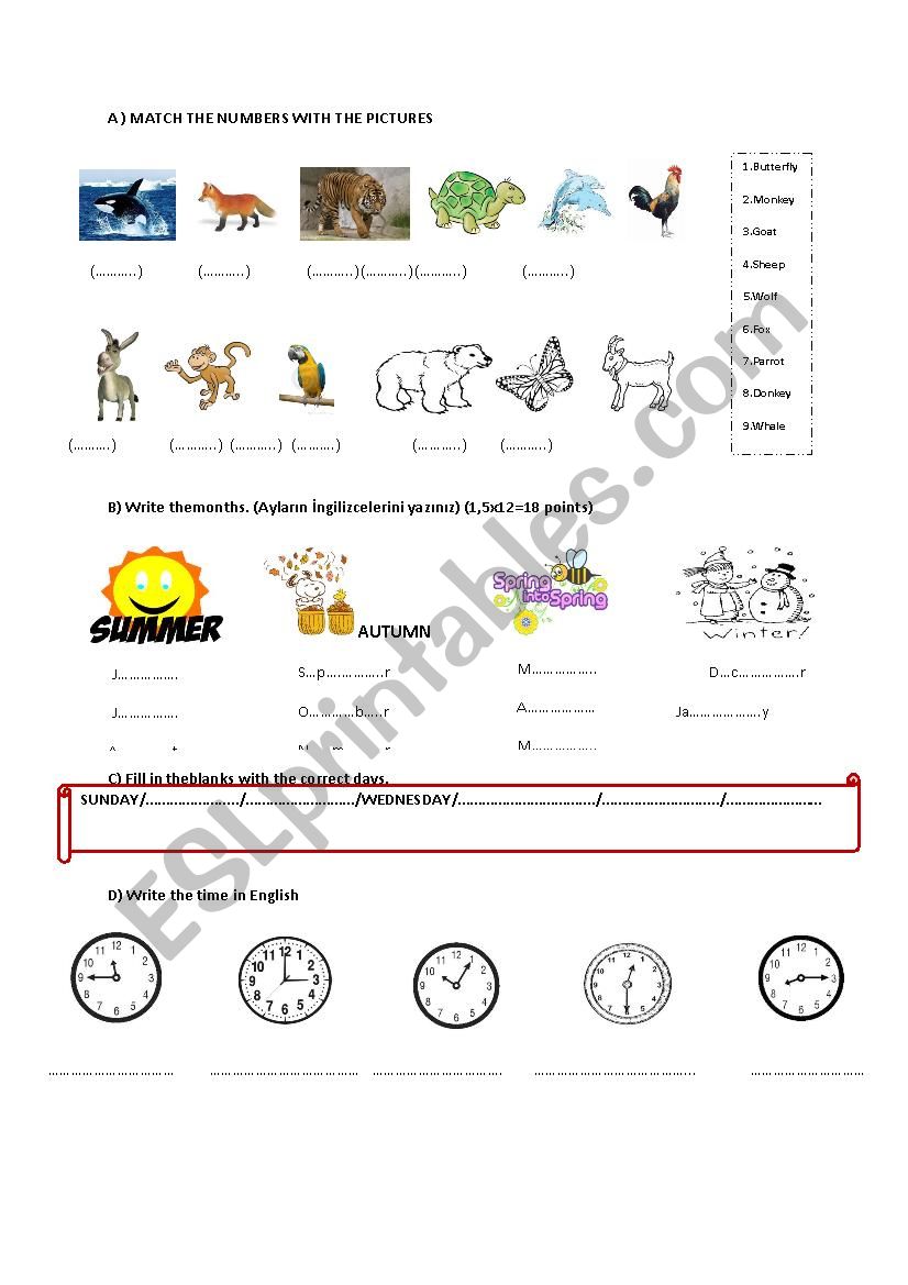 revision 4th year worksheet