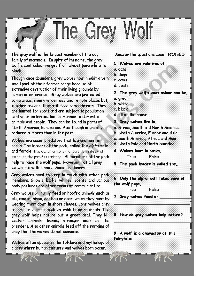 The Grey Wolf worksheet