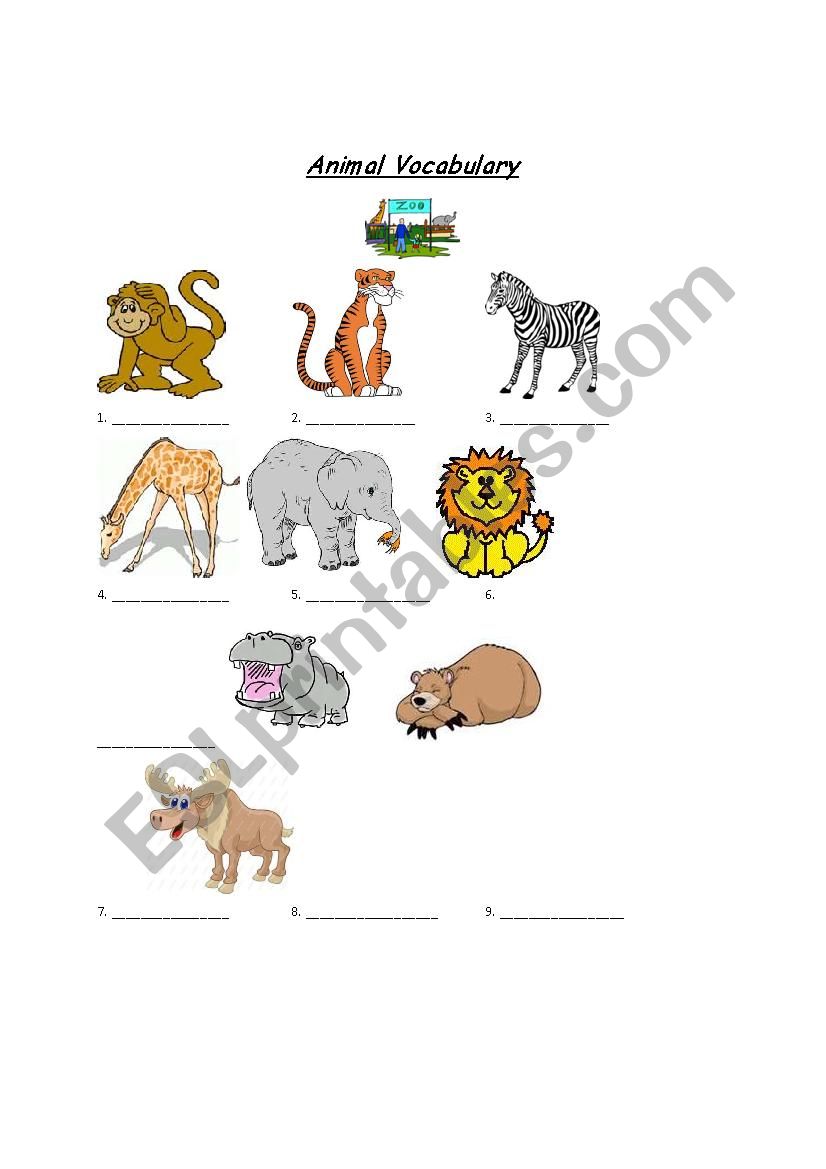 Going to the Zoo Worksheets  worksheet