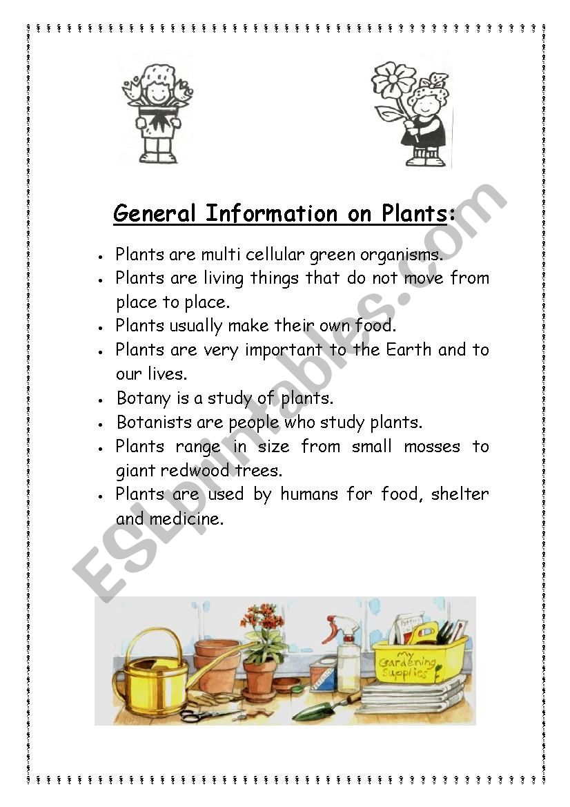 CLIL lesson: PLANTS worksheet