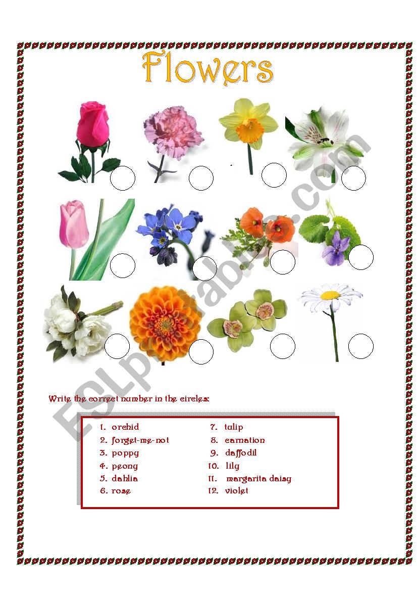 Flowers worksheet