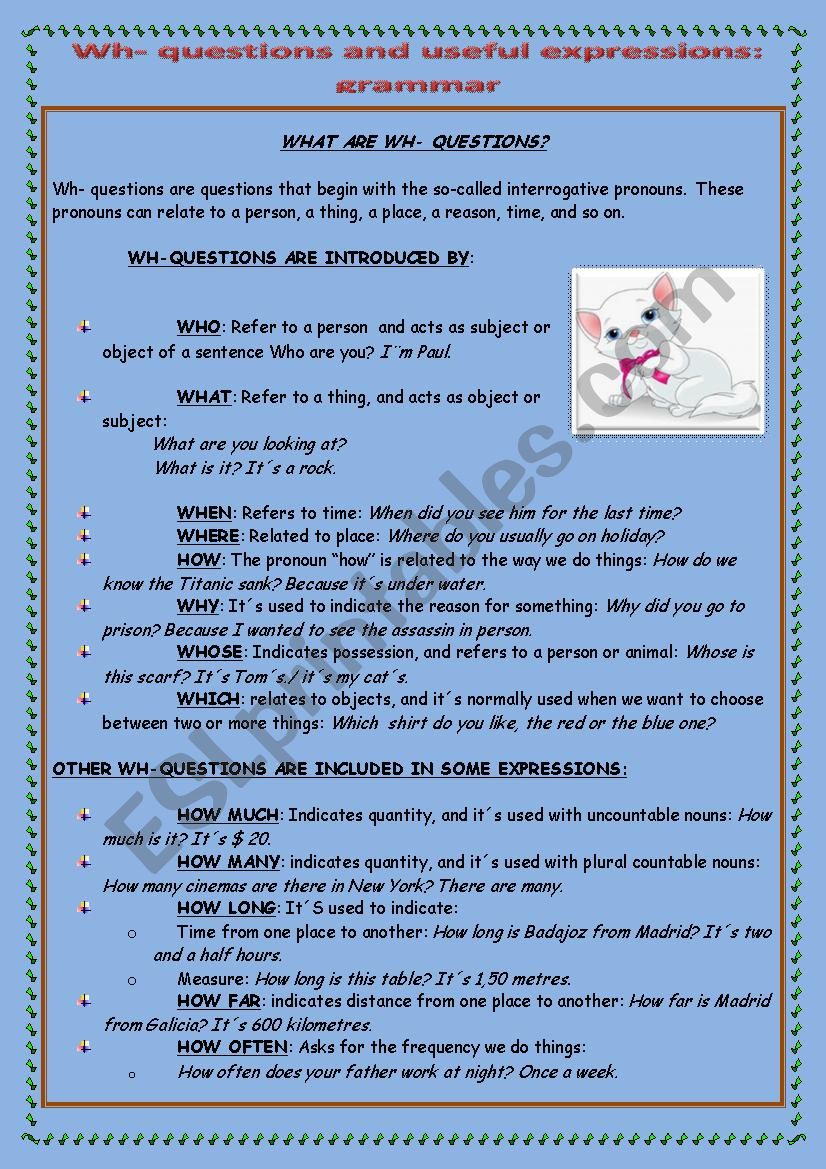 wh-words and expressions worksheet