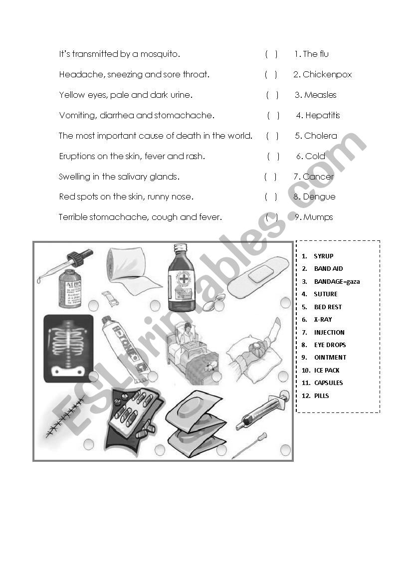 diseases worksheet