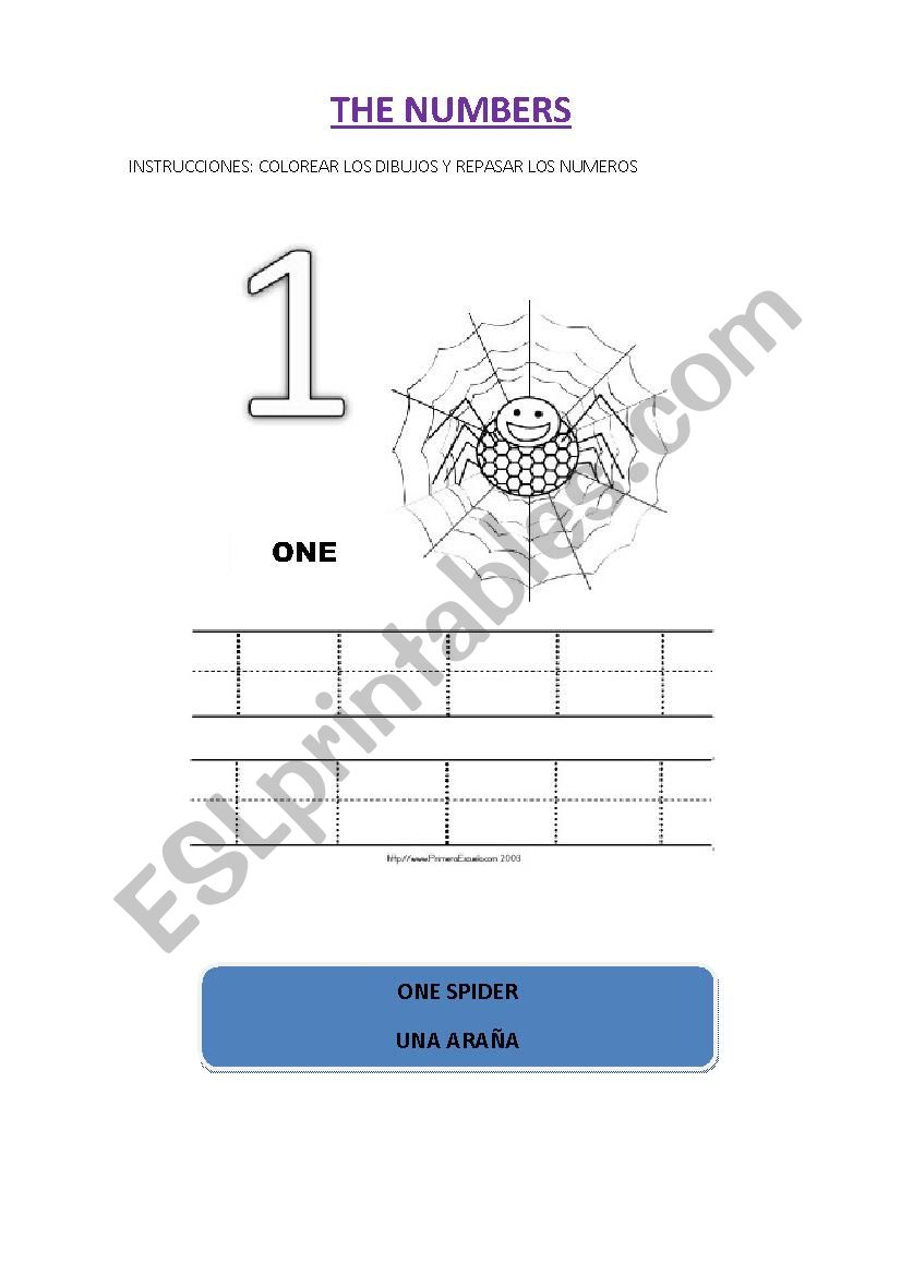 numbers worksheet