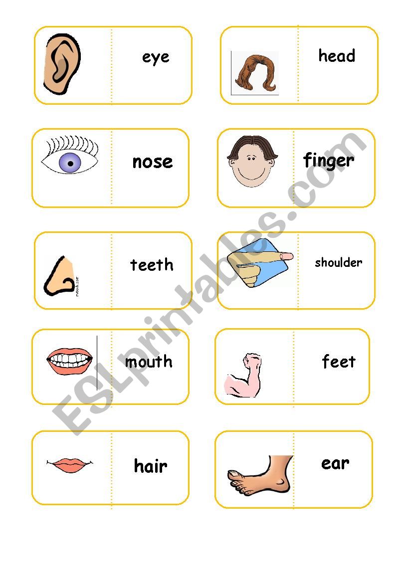 parts of body domino worksheet