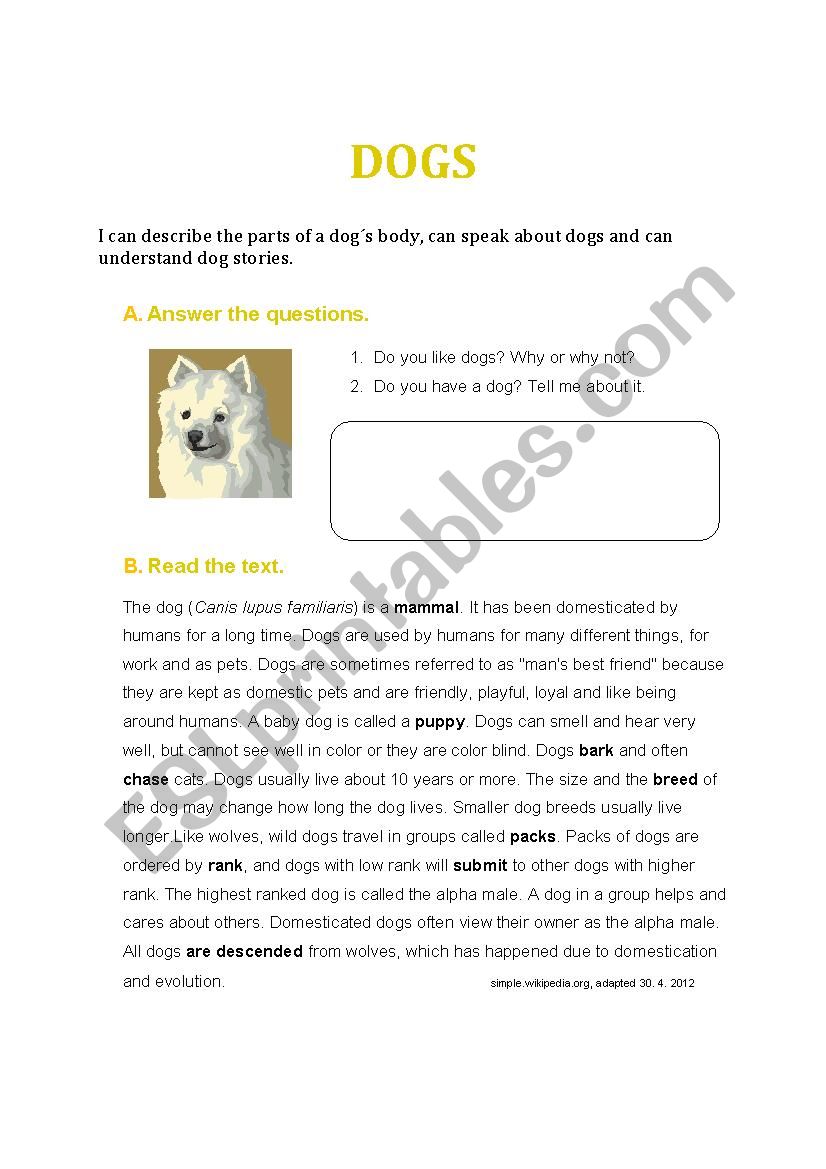DOGS worksheet