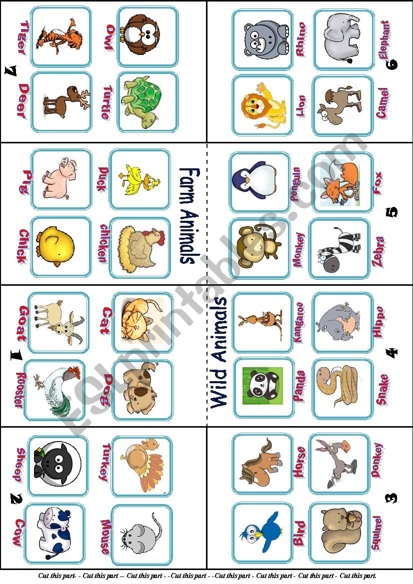 Mini- book  worksheet