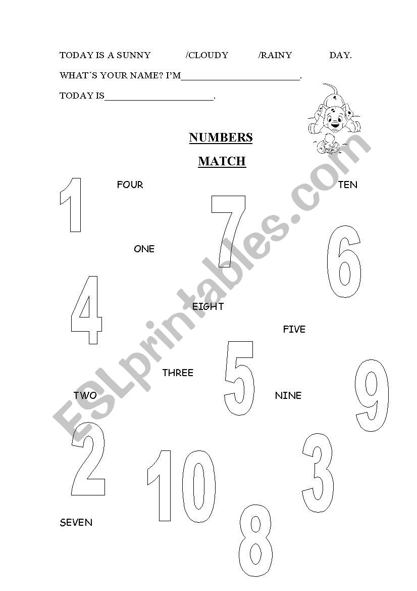 Numbers. Match worksheet
