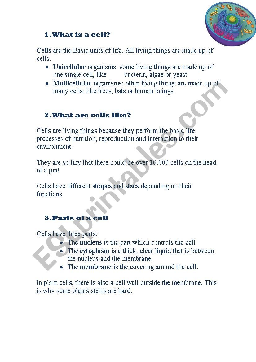 cells worksheet