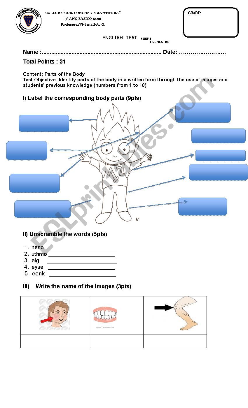 Parts of the Body worksheet