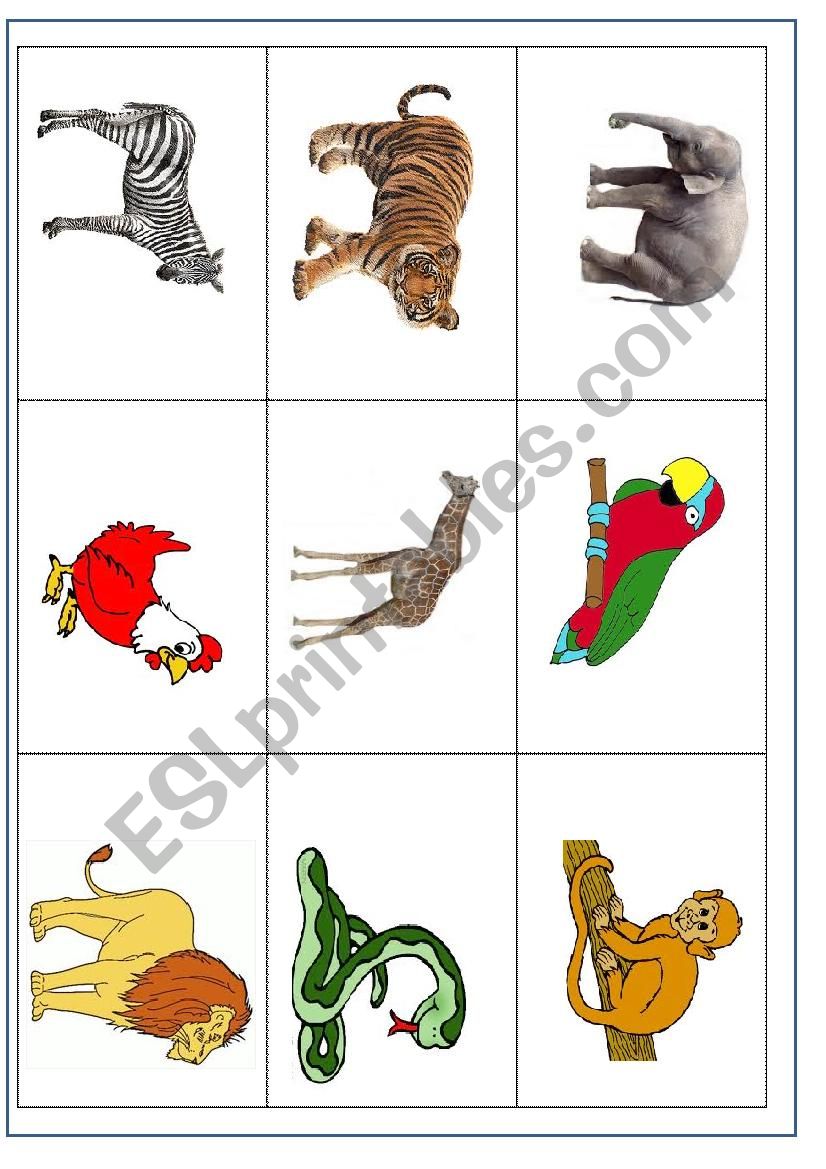 Animal Description Bingo worksheet