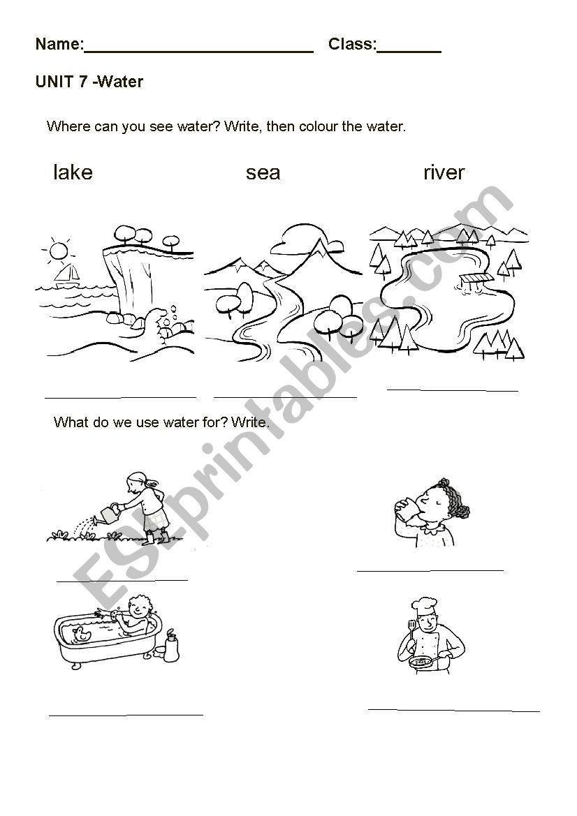  water ( primary 1) worksheet