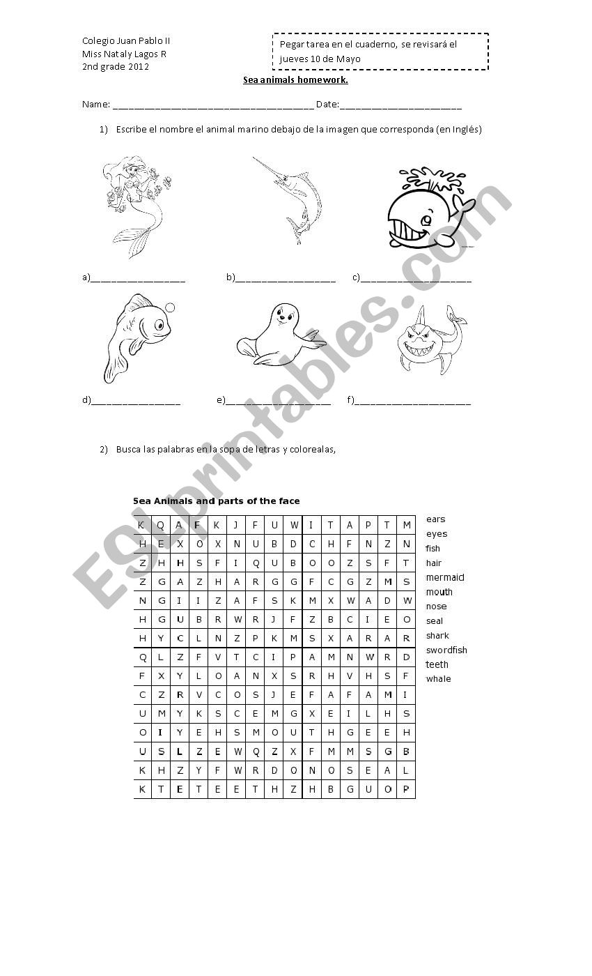 Sea Animals  worksheet