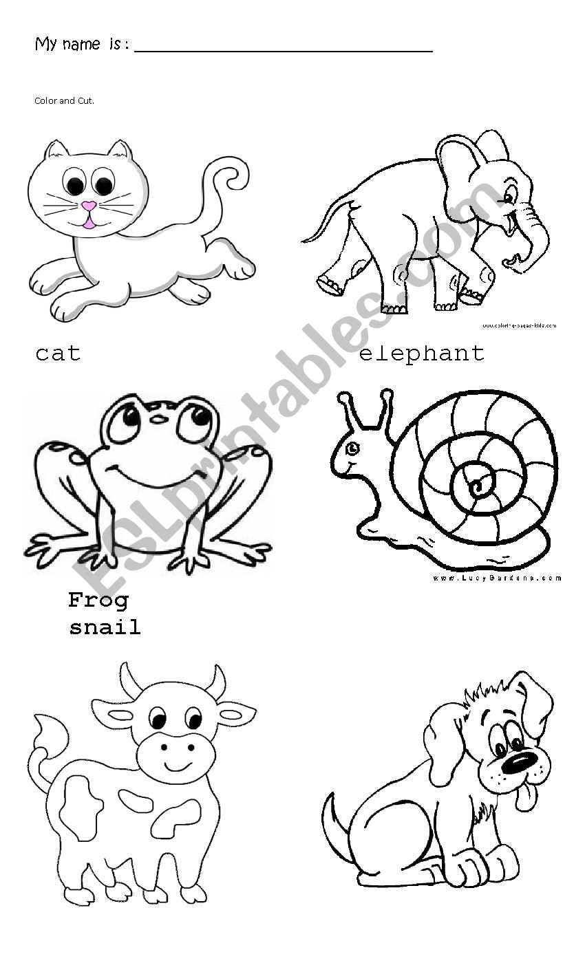 animals trace and color worksheet
