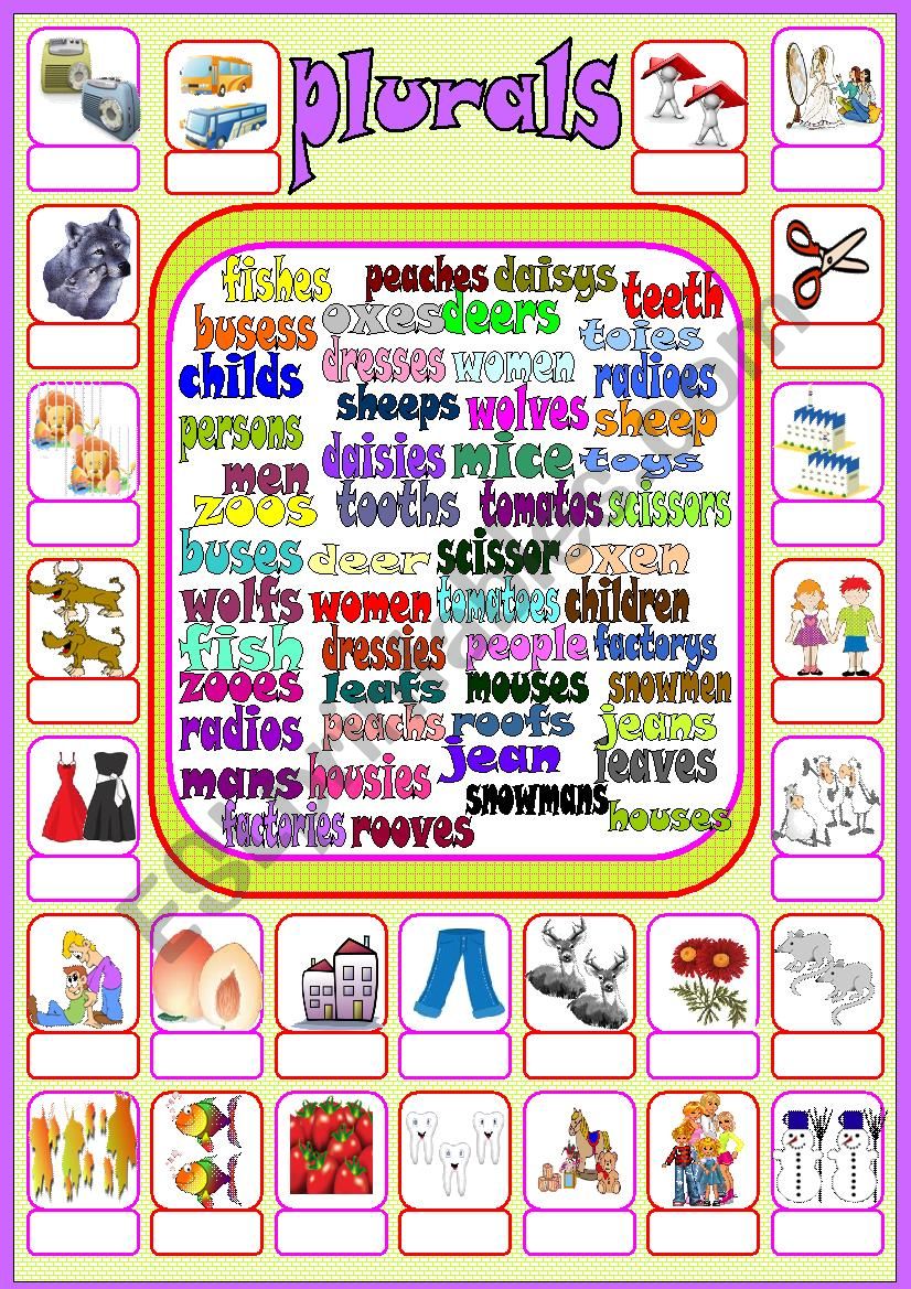 plurals worksheet