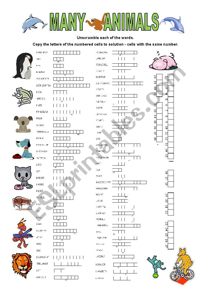 72 animals (+ short key) worksheet