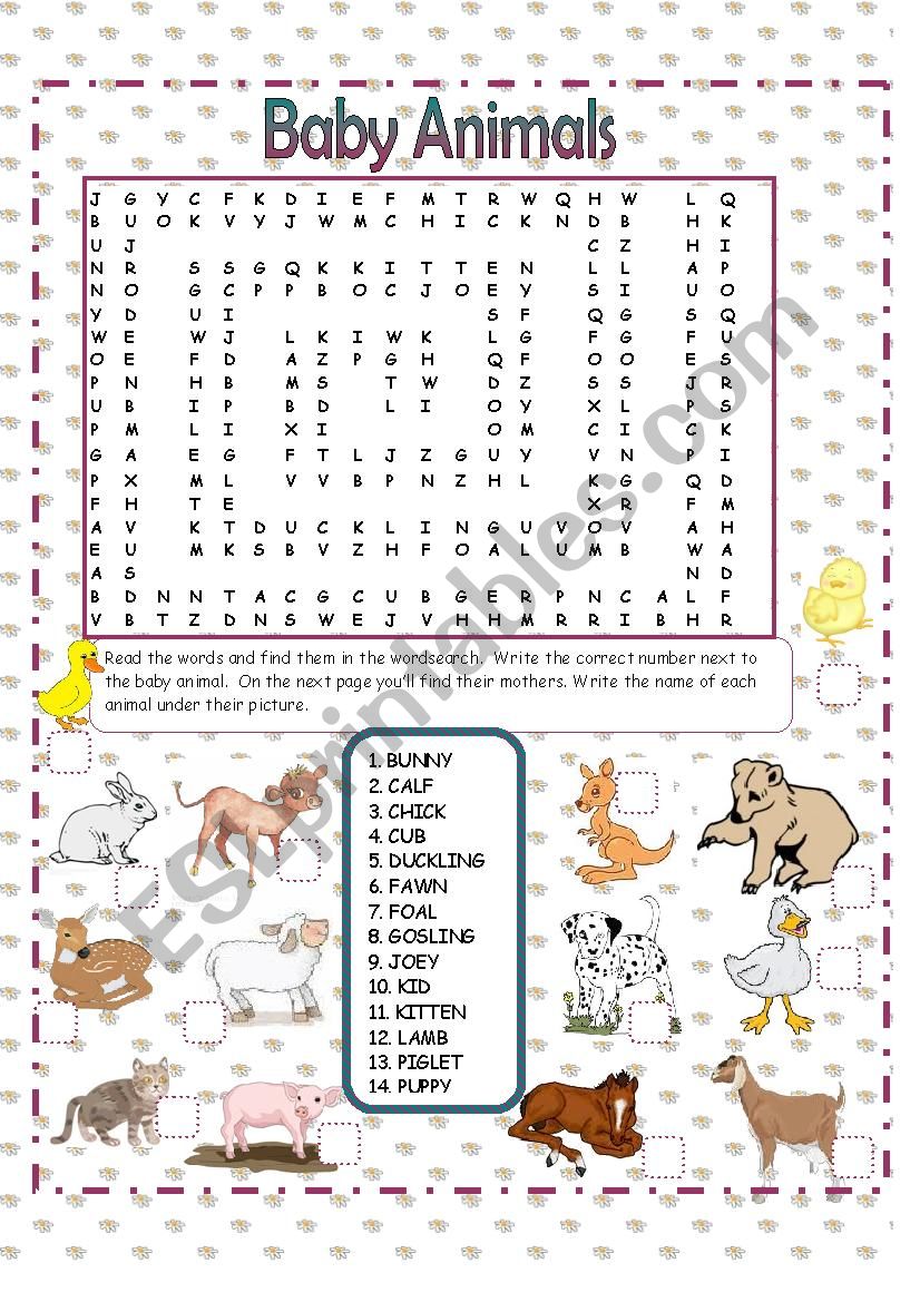 Baby Animals worksheet