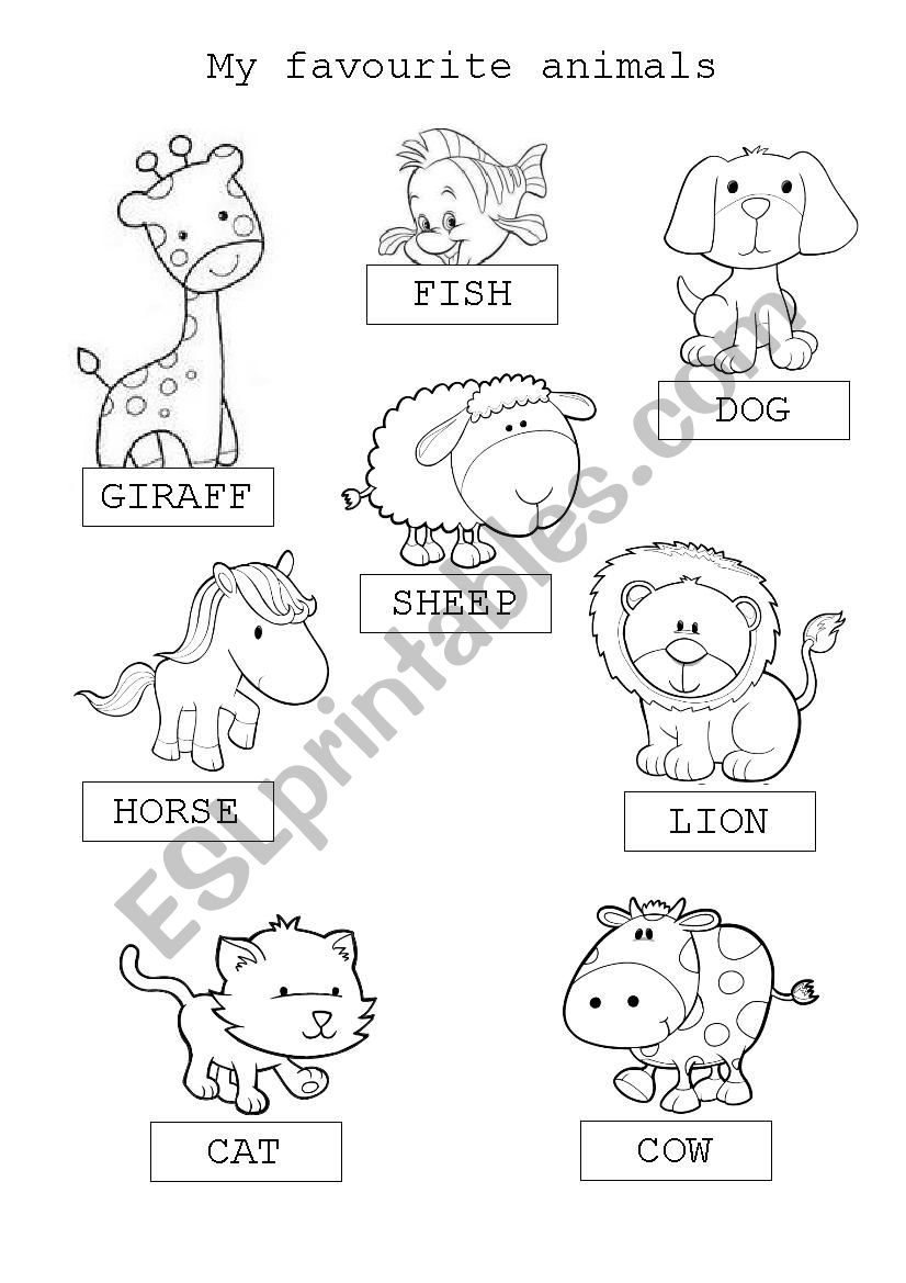 animals worksheet