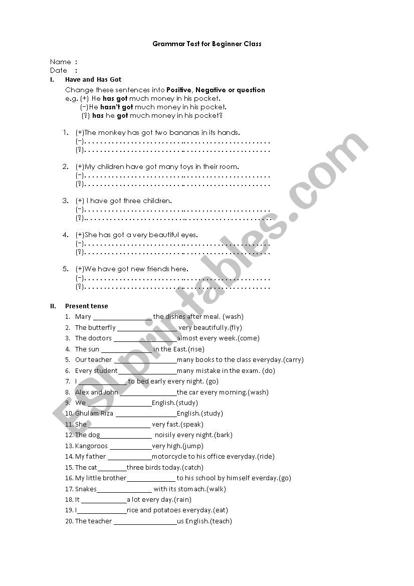 grammar test for beginner worksheet