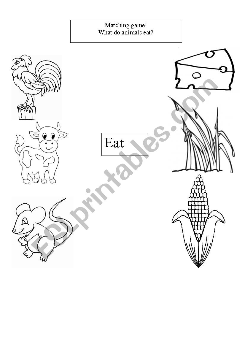 What do animals eat? worksheet