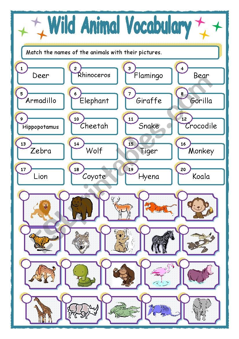 Wild Animals Vocabulary worksheet