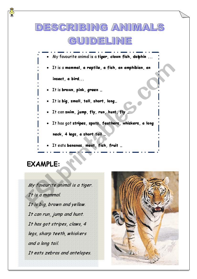 DESCRIBING ANIMALS GUIDELINE - MY FAVOURITE ANIMAL - ESL worksheet by  escolapia