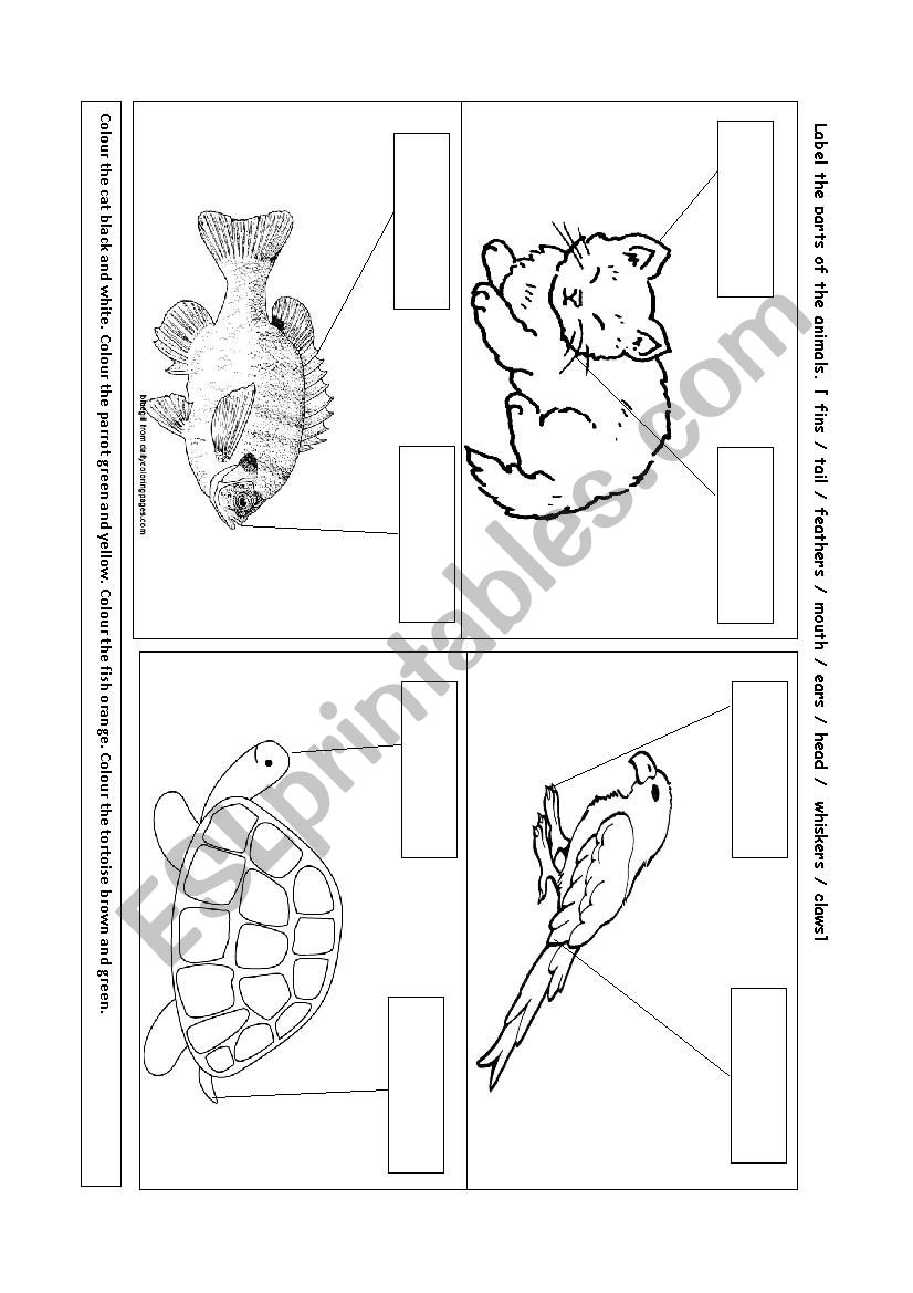 Label parts of the animals. worksheet