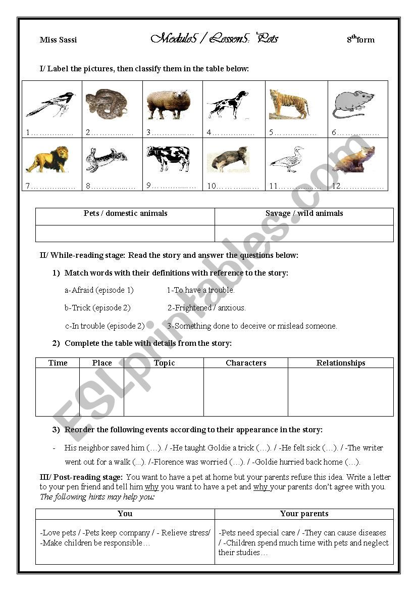 Lesson 5: Pets 8th form worksheet