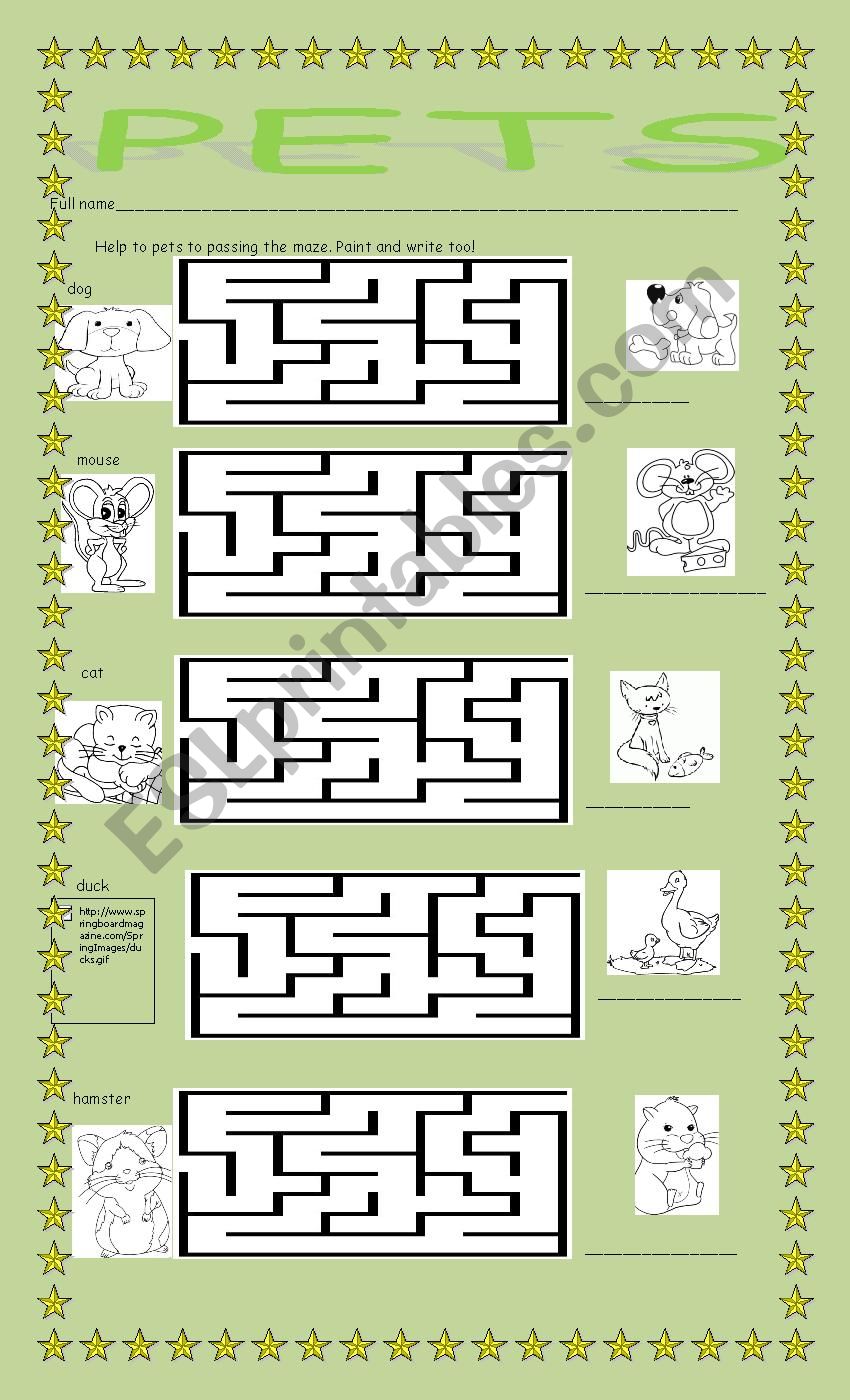 pets worksheet