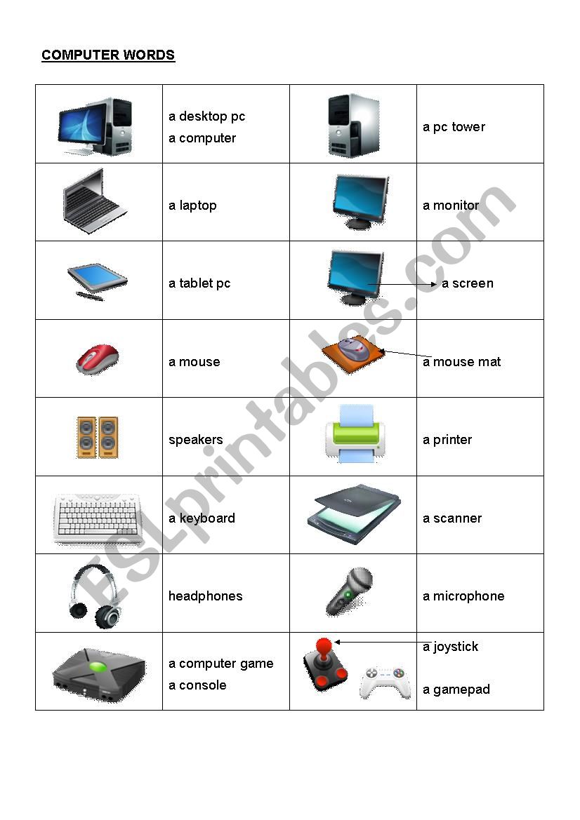 Computer words worksheet