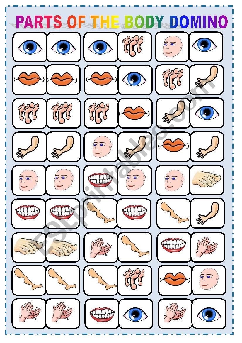 PARTS OF THE BODY DOMINO worksheet