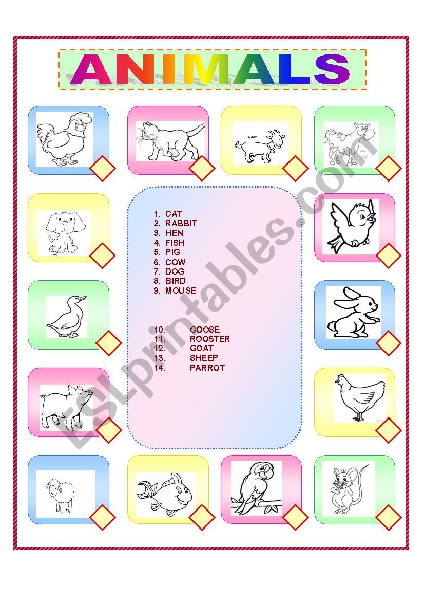 animals  worksheet