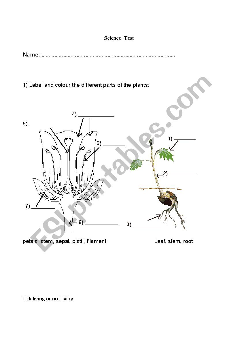 scince test worksheet