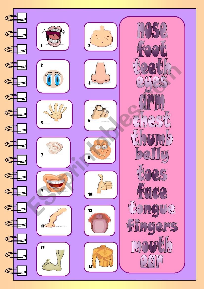 Body Parts worksheet