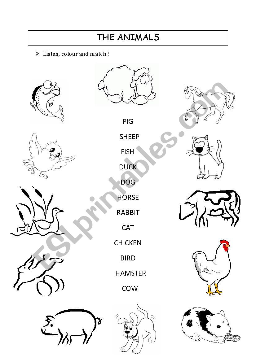 THE ANIMALS worksheet