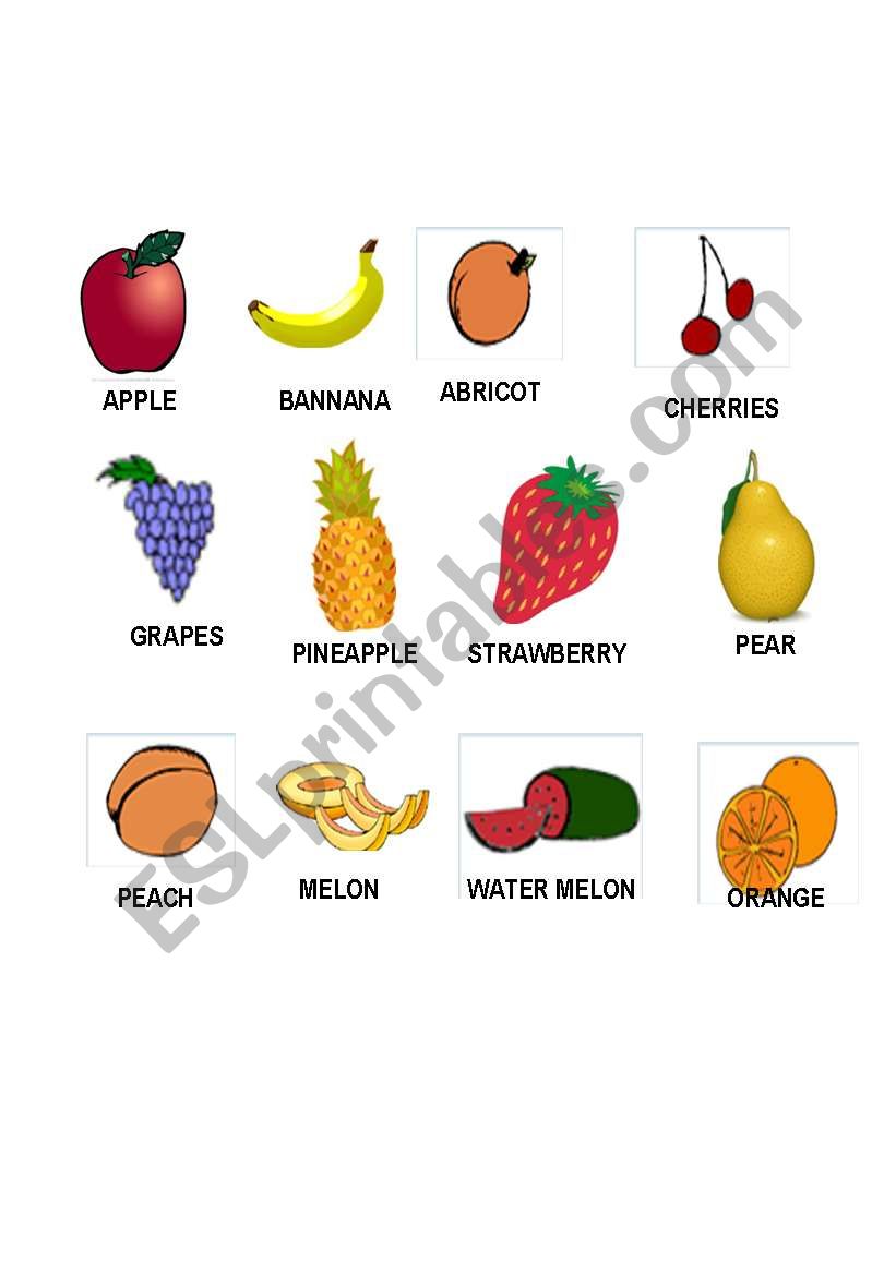 fruits worksheet