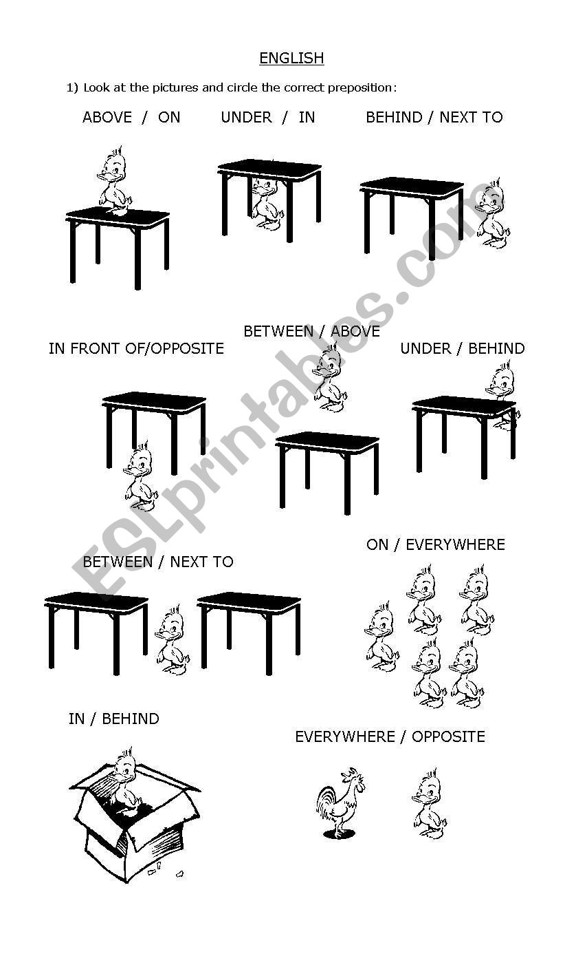 prepositions of places worksheet