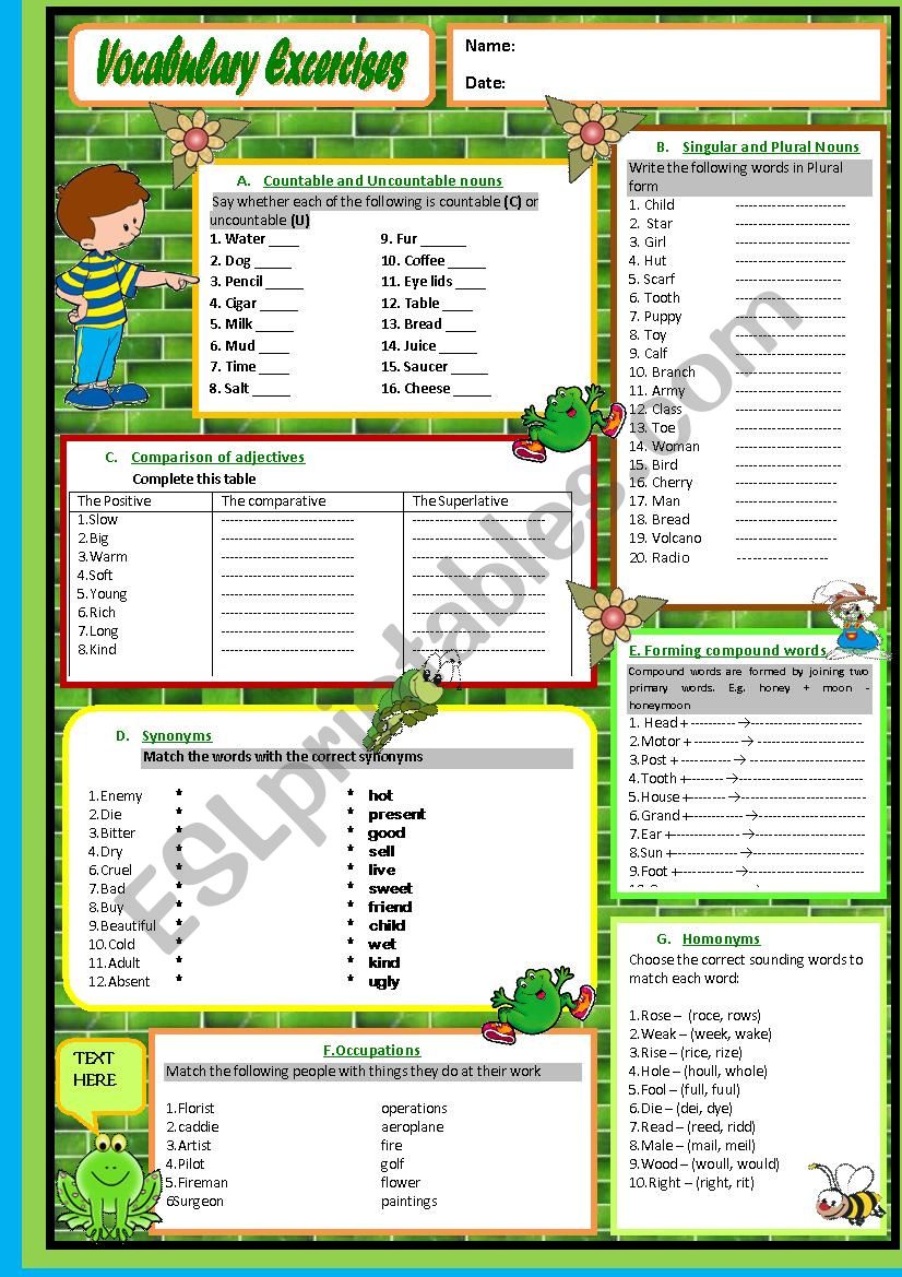 Vocabulary Exercise worksheet