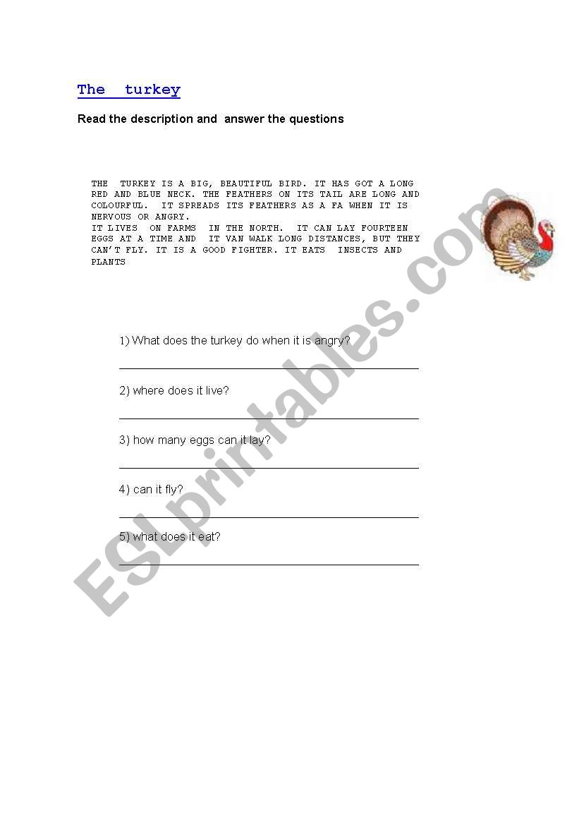 THE TURKEY worksheet