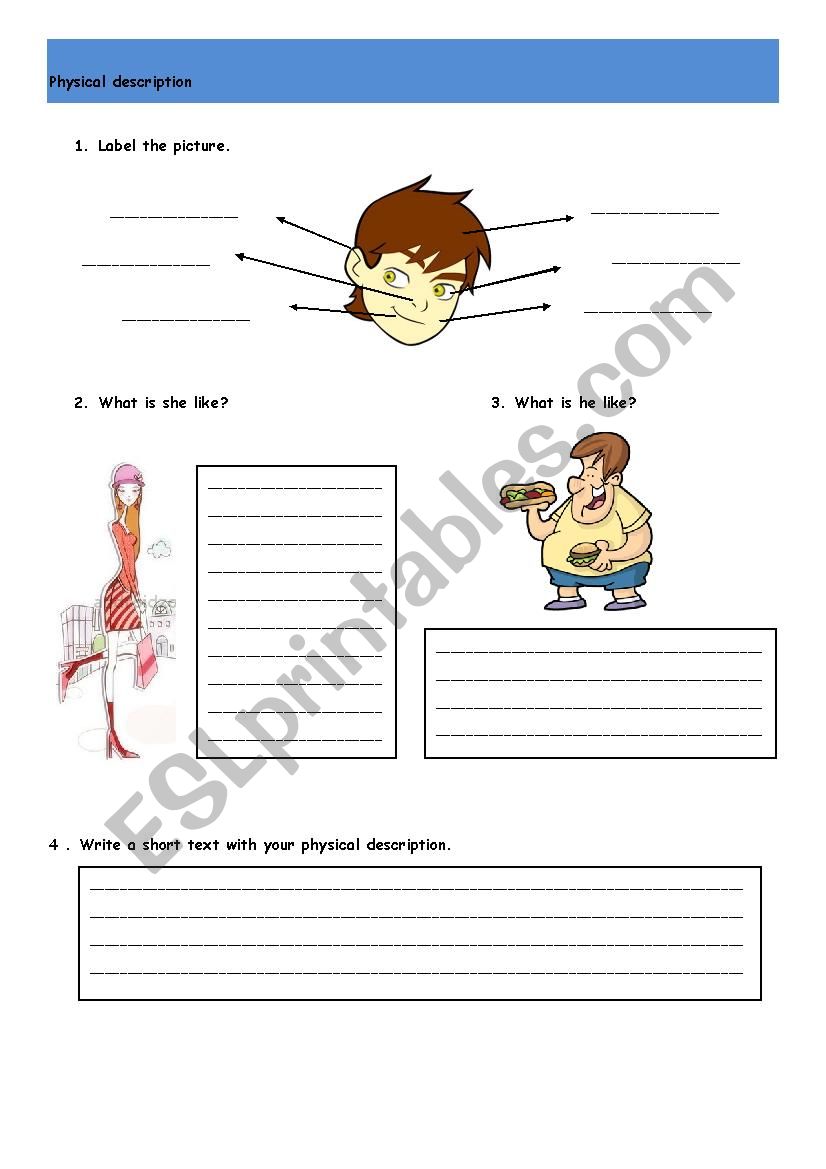 Physical description worksheet