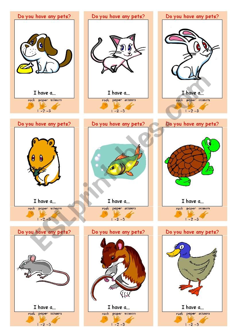 PETS Interactive Communication Game (Rock Paper Scissors)