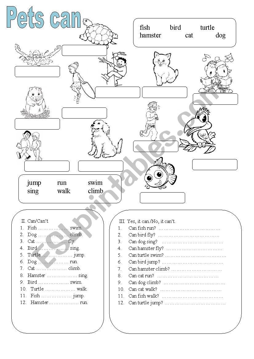 Pets can worksheet