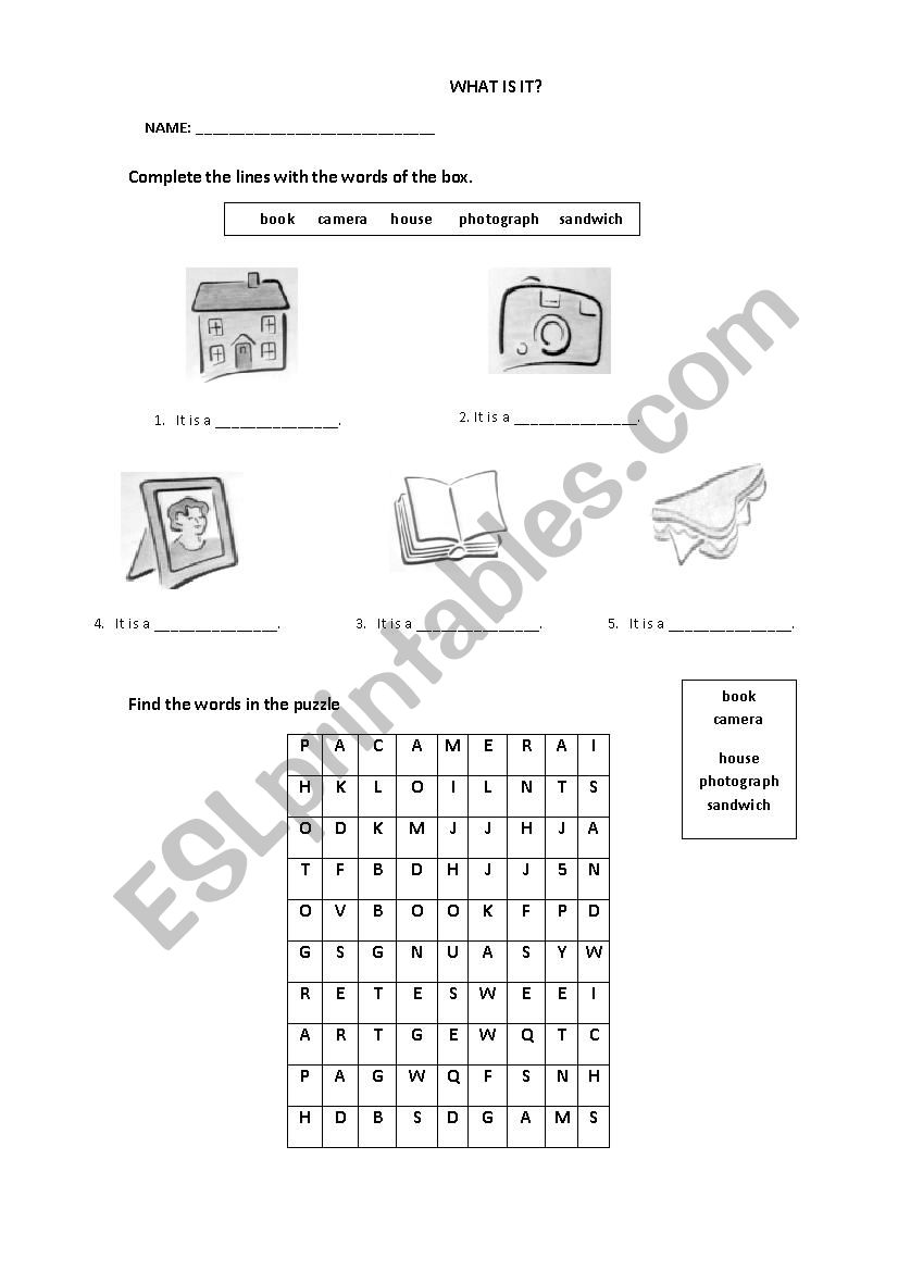 what is it? worksheet