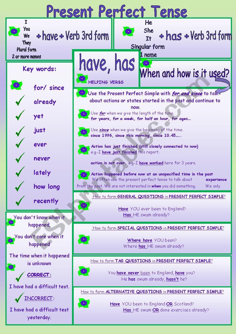 PRESENT PERFECT SIMPLE. worksheet