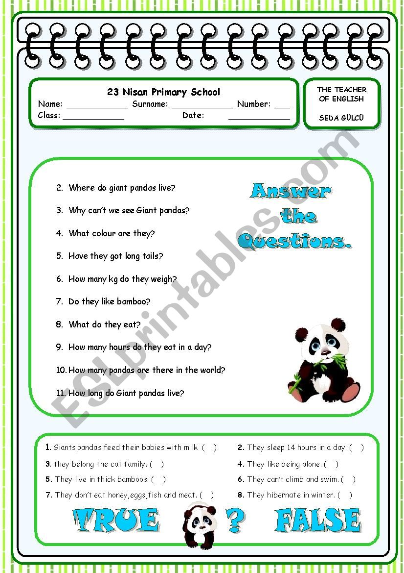 giant pandas 2 worksheet