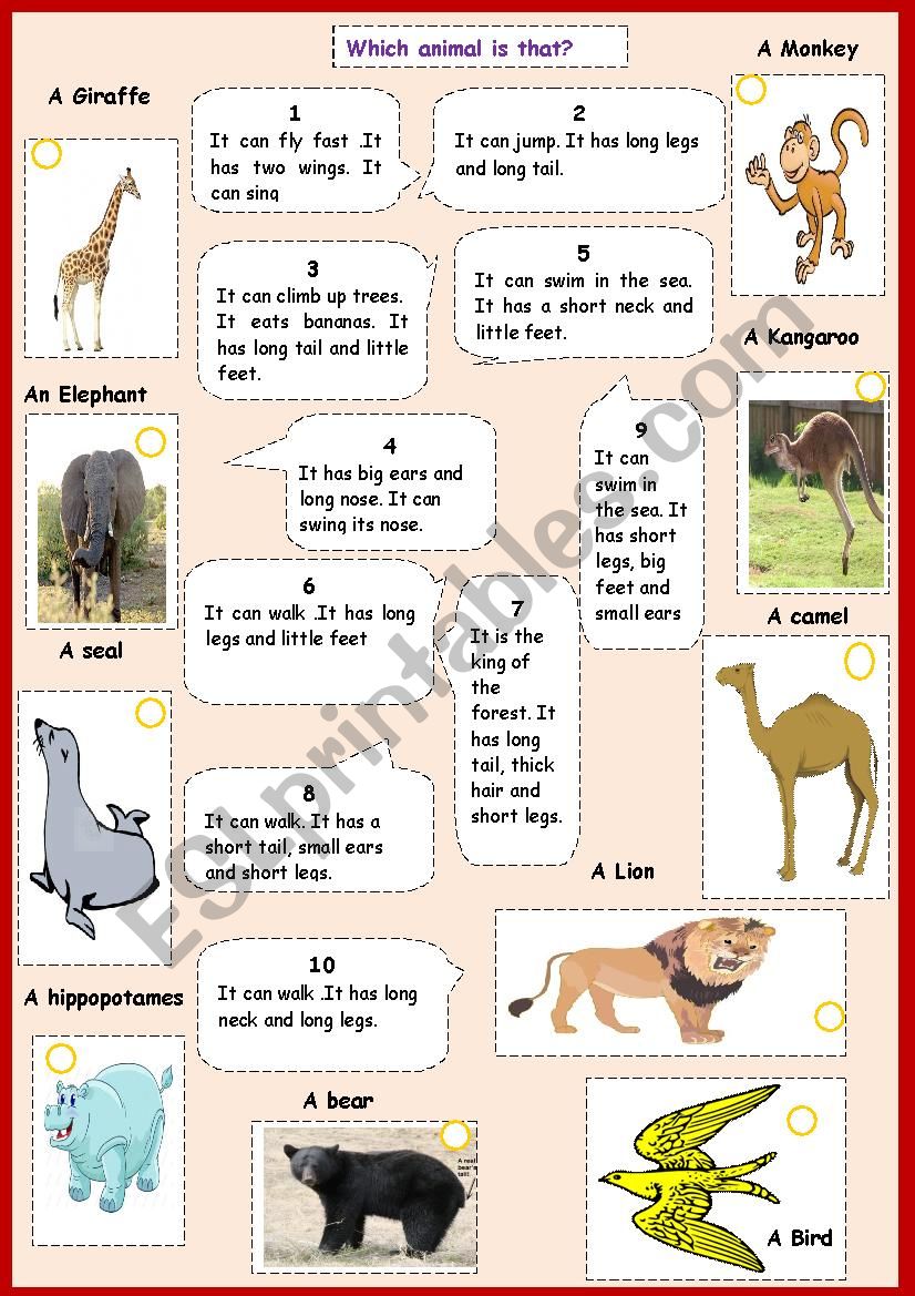 animalsÂ´ adjectives worksheet