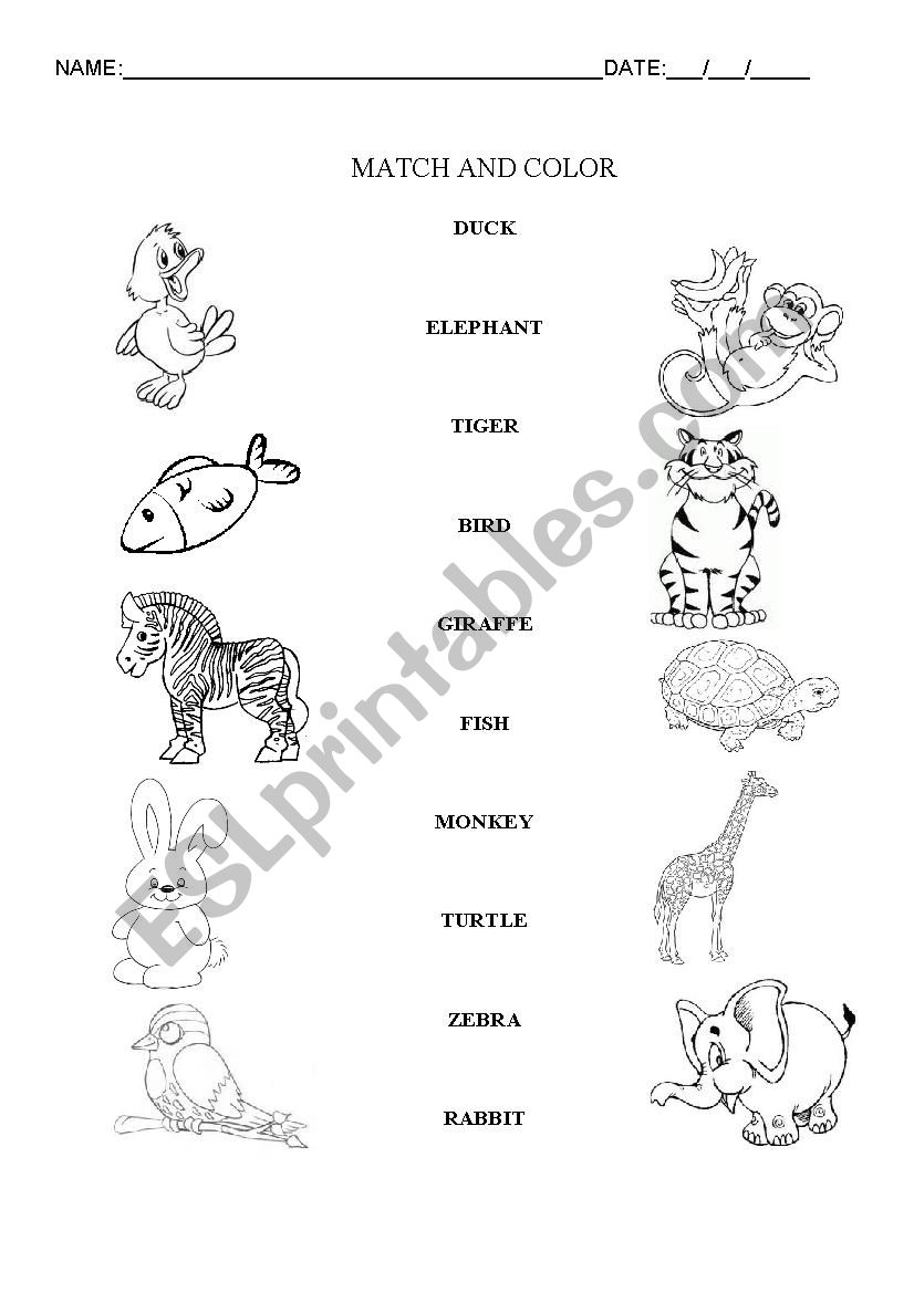 Animals worksheet