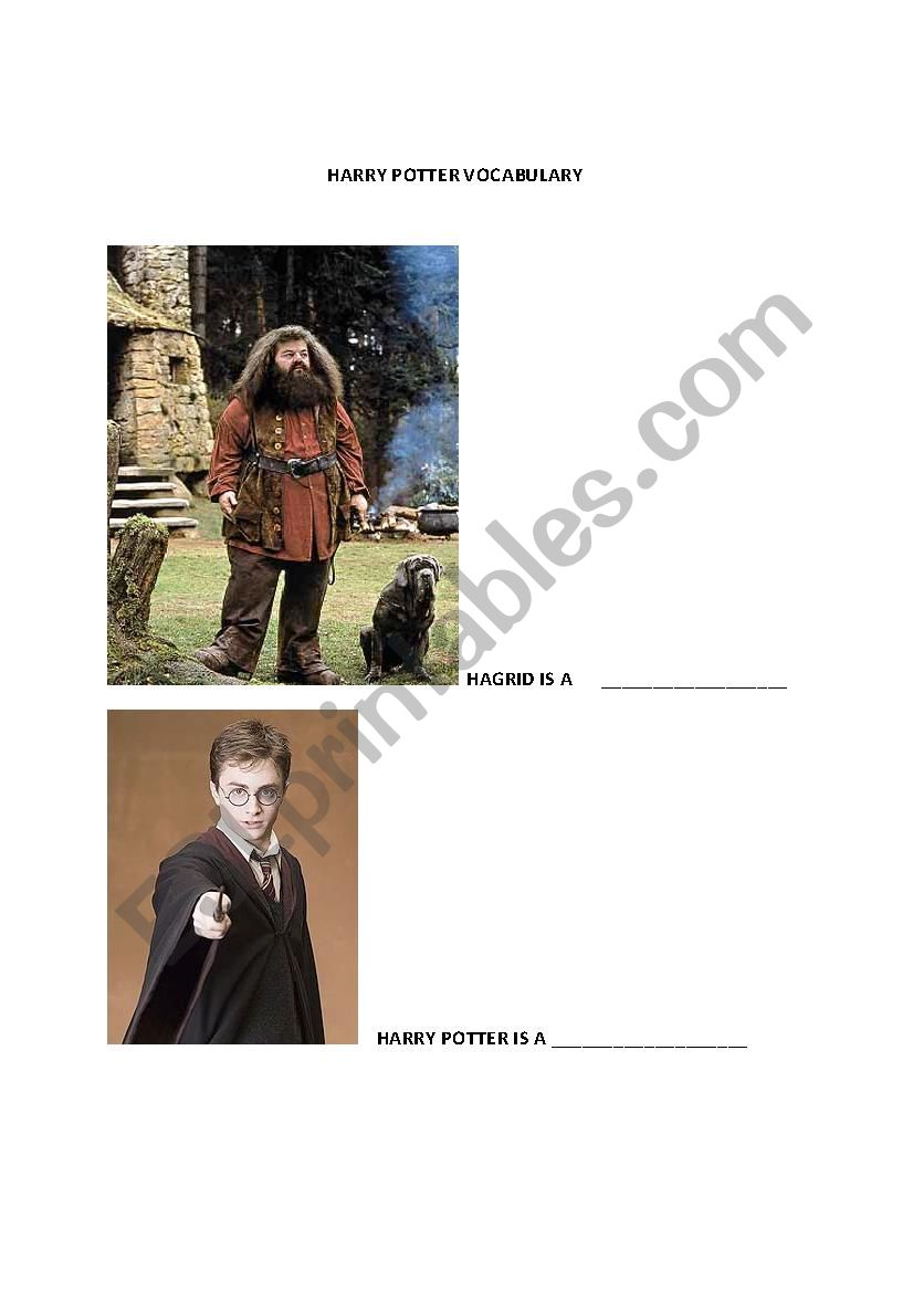 Harry Potter Vocabulary worksheet